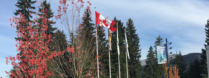 Personensuche in Kanada